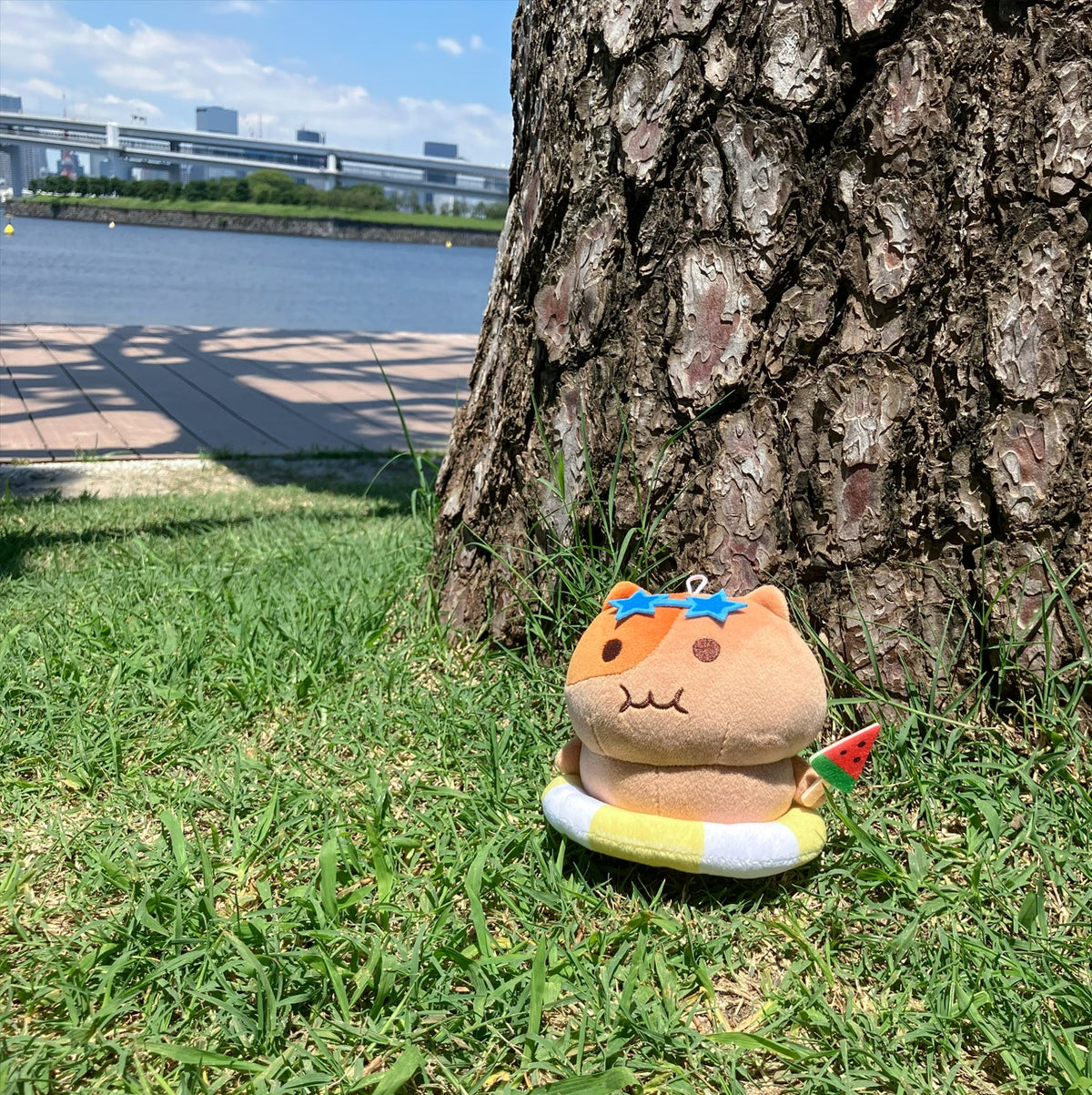 もちにゃみサマーコレクション 日焼けver.